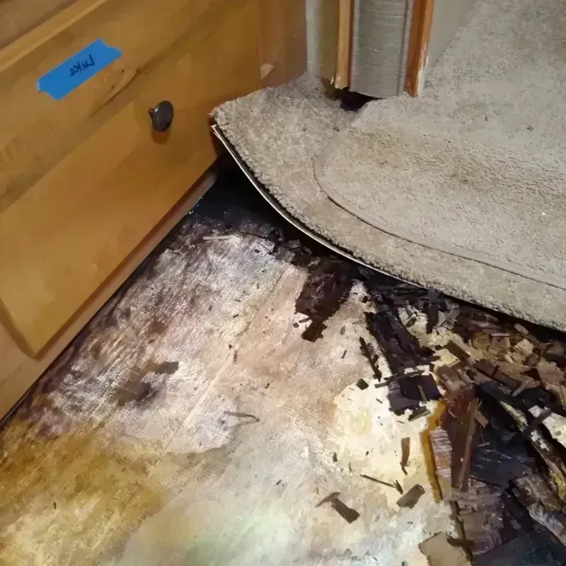 Wood Floor Water Damage in Manhattan, MT